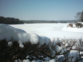 etang de tyx